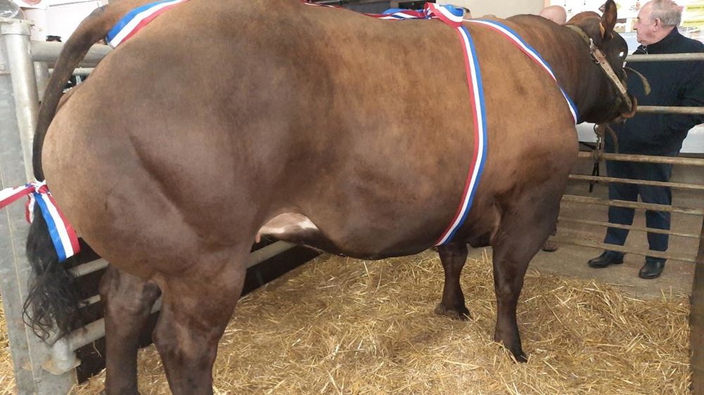Grand Prix de championnat de Nancy devant Jean-Yves Renard, le président de la FNCAB